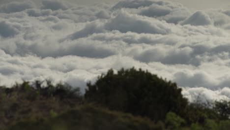 Timelapse-of-fluffy-clouds-moving,-seen-from-bushy-hill-above-on-Maui