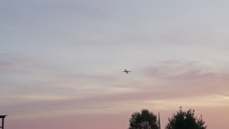 A-plane-departs-in-front-of-an-orange-sky-in-the-morning,-a-bird-is-flying-through-the-frame