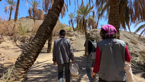 Walking-in-date-palm-tree-grove-in-summer-season-agriculture-harvest-season-in-desert-oasis-rural-life-village-countryside-remote-natural-landscape-hiking-adventure-woman-travel-to-iran-Morocco-oasis