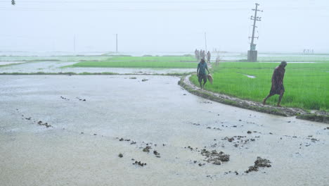 Temporada-De-Lluvias,-Monzón,-Lluvia