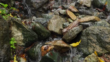 Agua-Termal-Natural-En-Los-Pirineos,-España