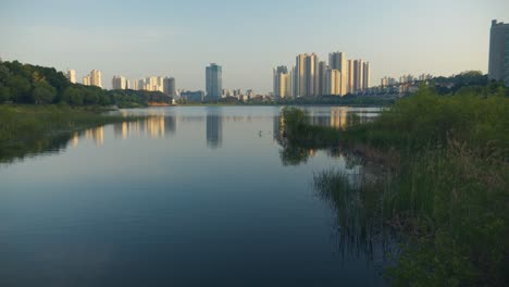 Parque-Del-Lago-Gwanggyo-De-Corea-Del-Sur-En-Suwon-si