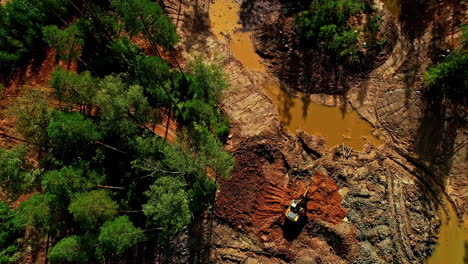 Deforestation---Backhoe-Excavating-At-Pine-Forest