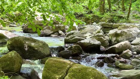 Montaña-Rocosa-Orilla-Del-Río-Corriente-Flujo-De-Agua-En-La-Naturaleza-Salvaje-Escénico-Maravilloso-Paisaje-Del-Bosque-Natural-De-Hyrcanian-Temporada-De-Primavera-Wyoming-Colorado-Increíble-Hermosa-Naturaleza-Fondo-Verde-Agua-Blanca