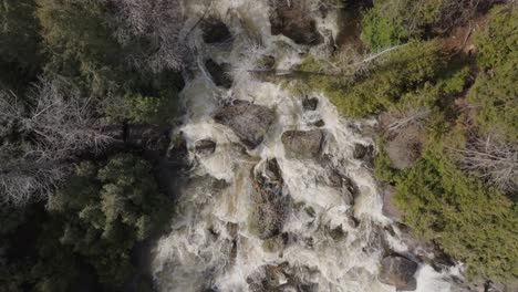 Raging-river-with-white-water-rapids-surrounded-by-lush-green-forest-in-Owen-Sound,-Canada