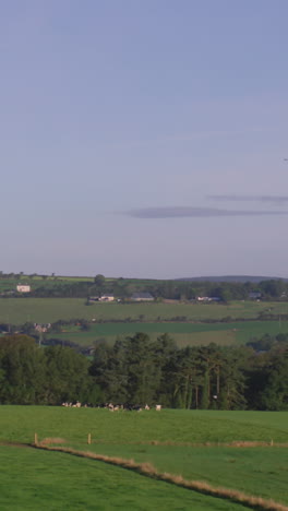 Green-fields-of-ireland