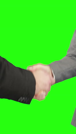 Business-people-handshaking