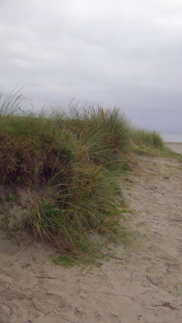 Deserted-beach-area