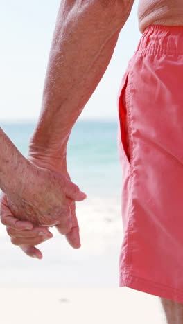 Old-retired-couple-embracing-each-other