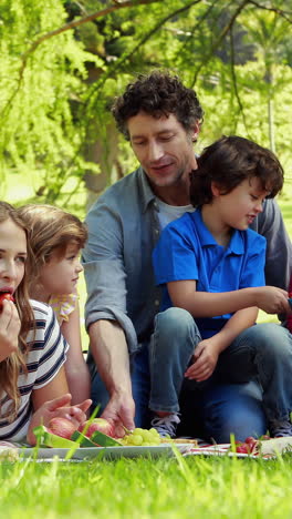 Glückliche-Familie,-Die-Ein-Picknick-Macht