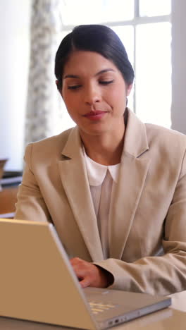 Geschäftsfrauen-Nutzen-Gemeinsam-Laptop