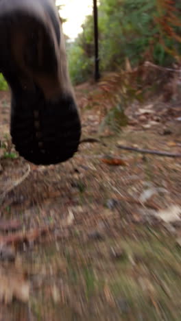 Close-up-of-hiking-boots-walking