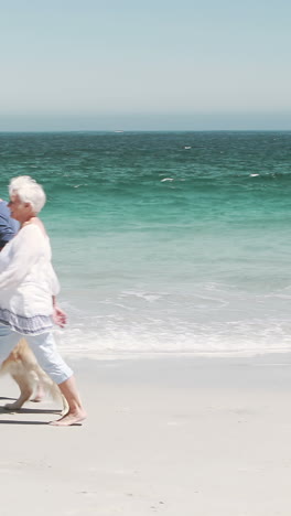 Pareja-De-Ancianos-Jubilados-Con-Perro