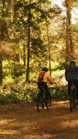 Pareja-De-Ciclismo-De-Montaña-Montando-En-El-Bosque-En-Un-Día-Soleado