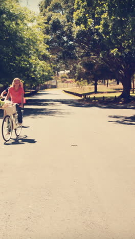 Pareja-Feliz-En-Un-Paseo-En-Bicicleta