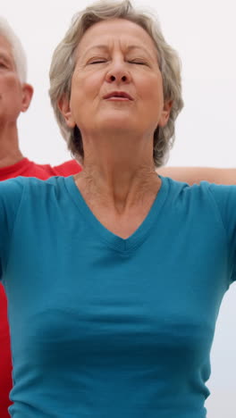 Retired-couple-doing-yoga-on-the-beach