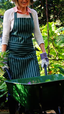 Mature-woman-pushing-a-wheelbarrow