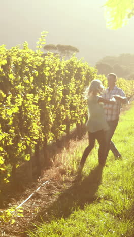 Smiling-couple-dancing-between-grapevine