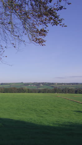 Strahlend-Blauer-Himmel-über-Den-Feldern