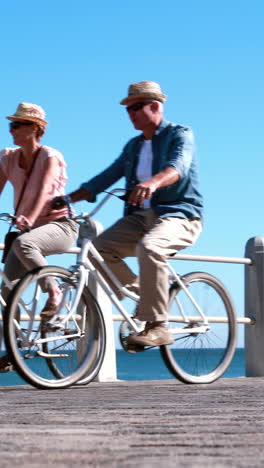 Personas-Mayores-Activas-Dando-Un-Paseo-En-Bicicleta-Junto-Al-Mar