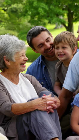 Extended-family-smiling-at-the-camera-in-the-park