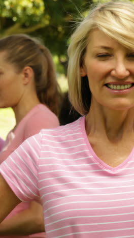 Activistas-Para-La-Concientización-Sobre-El-Cáncer-De-Mama-En-El-Parque.