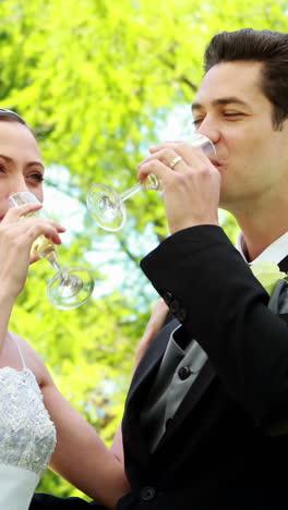 Happy-newlyweds-drinking-champagne-in-the-countryside