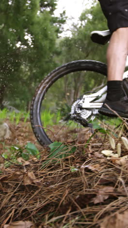 Ciclista-De-Montaña-Masculino-Montando-En-El-Bosque