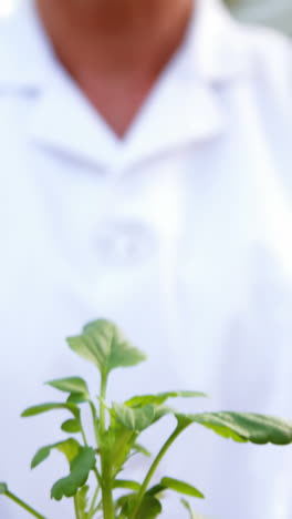 Científica-Femenina-Sosteniendo-Planta-En-Maceta