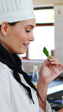 Smiling-chef-smelling-herbs-in-kitchen