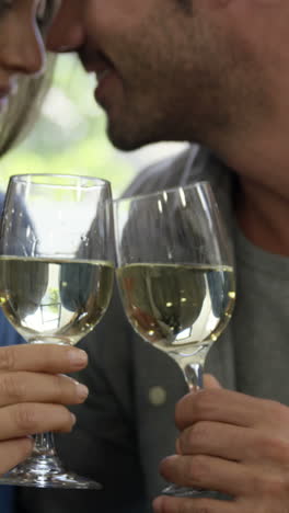 Couple-drinking-white-wine