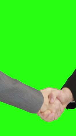 Business-people-handshaking