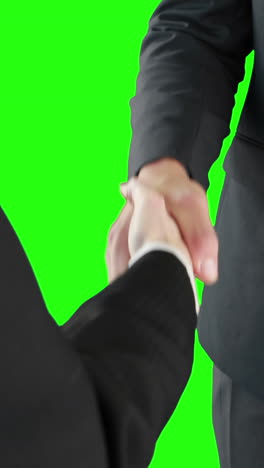 Business-people-handshaking