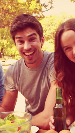 Happy-friends-toasting-together-during-lunch-in-the-park