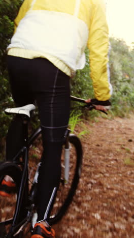 Ciclista-De-Montaña-Masculino-Montando-En-El-Bosque