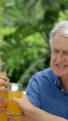 Happy-family-toasting-together