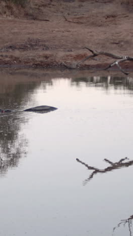 Escena-De-La-Naturaleza-En-Sudáfrica