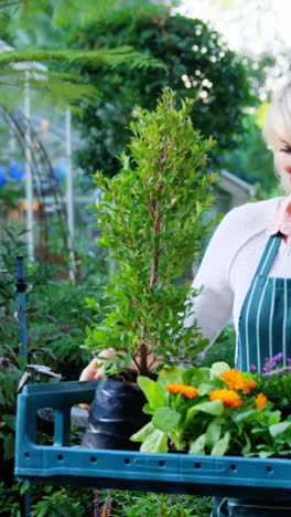 Reife-Frau-Hält-Blumenkiste