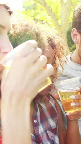 Freunde-Stoßen-Im-Park-Mit-Gläsern-Bier-An