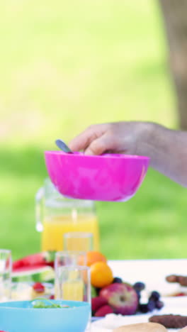 Großfamilie-Beim-Gemeinsamen-Mittagessen-Im-Park