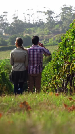 Rear-view-of-couple-holding-hands-and-standing-in-field