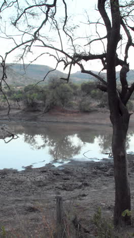 Nature-scene-in-south-africa