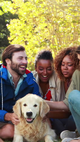 Gruppe-Glücklicher-Freunde,-Die-Zusammen-Mit-Dem-Hund-Sitzen