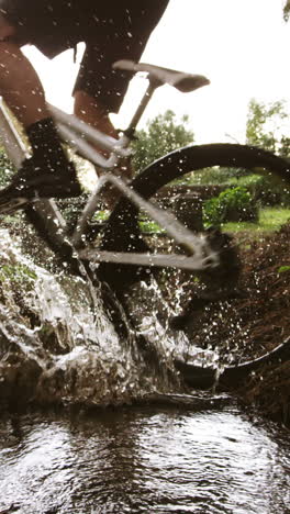 Ciclista-De-Montaña-Masculino-Montando-En-El-Bosque