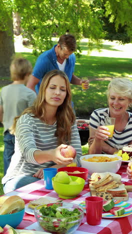 Familia-Haciendo-Picnic-En-El-Parque