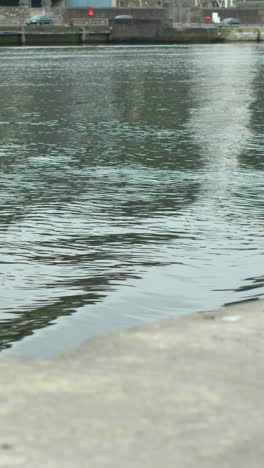 Der-Wind-Erzeugt-Wellen-Im-Wasser