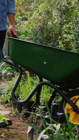 Man-walking-with-wheelbarrow-and-female-gardener-digging-soil-with-garden-fork