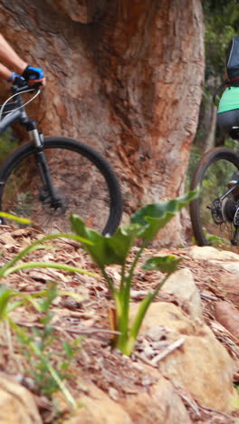 Couple-cycling-bicycle