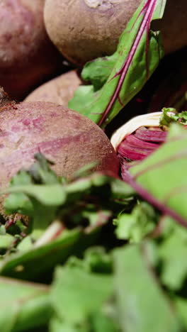 Close-up-of-beet-root-in-wicker-basket