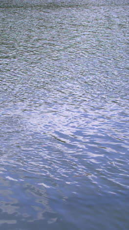 Rippling-water